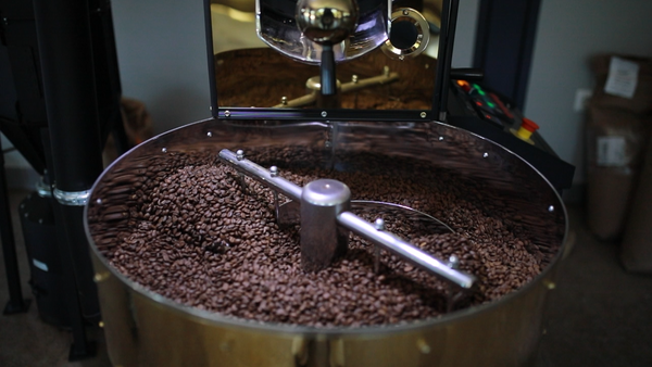 Kenya AA Nyeri | 250g